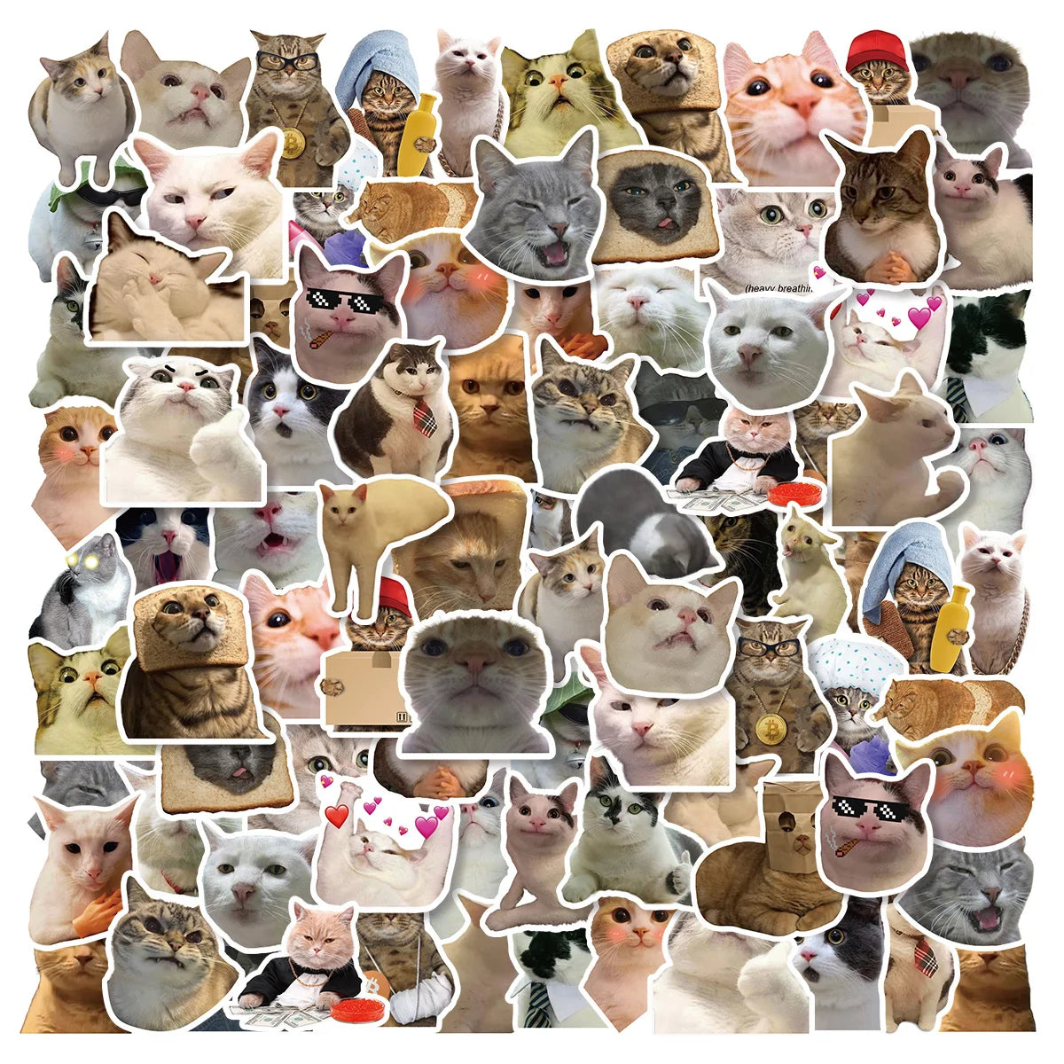 Meme Cat Stickers