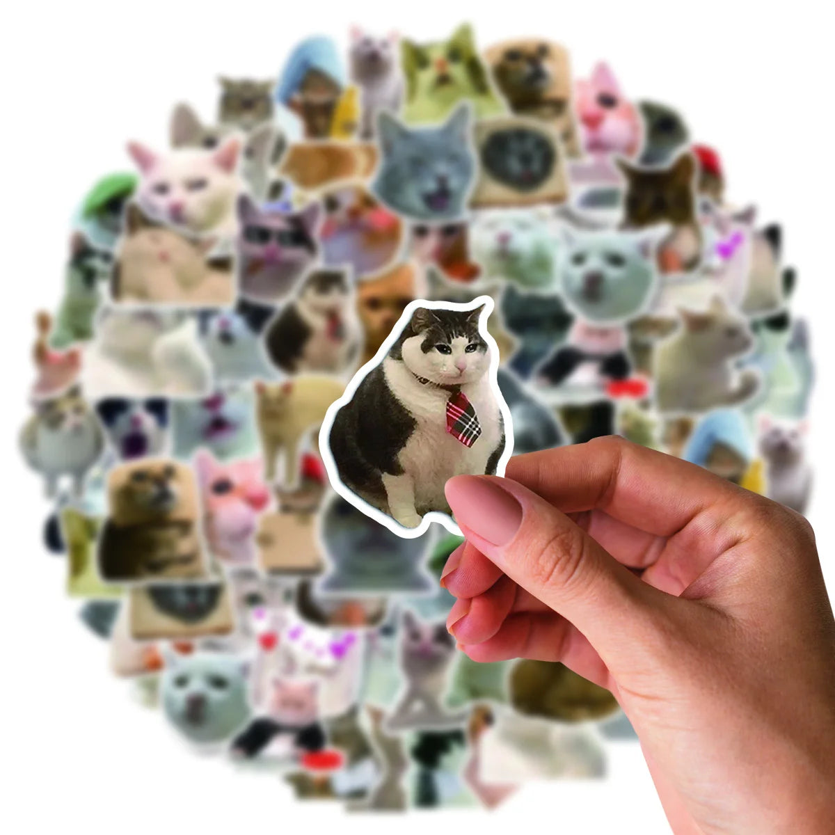 Meme Cat Stickers