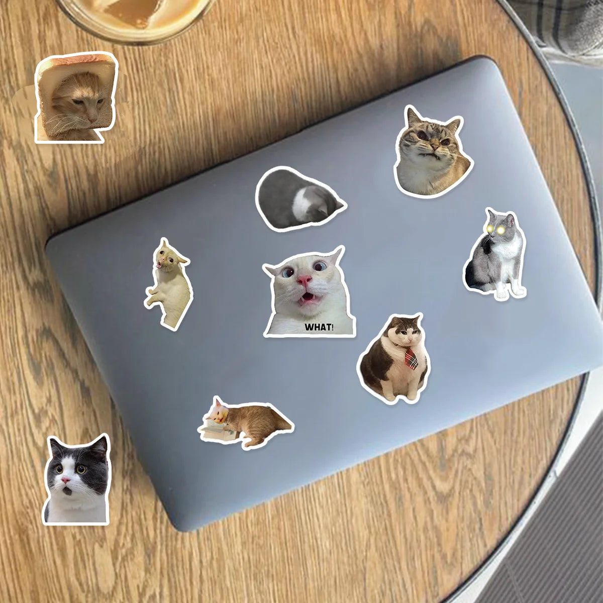 Meme Cat Stickers