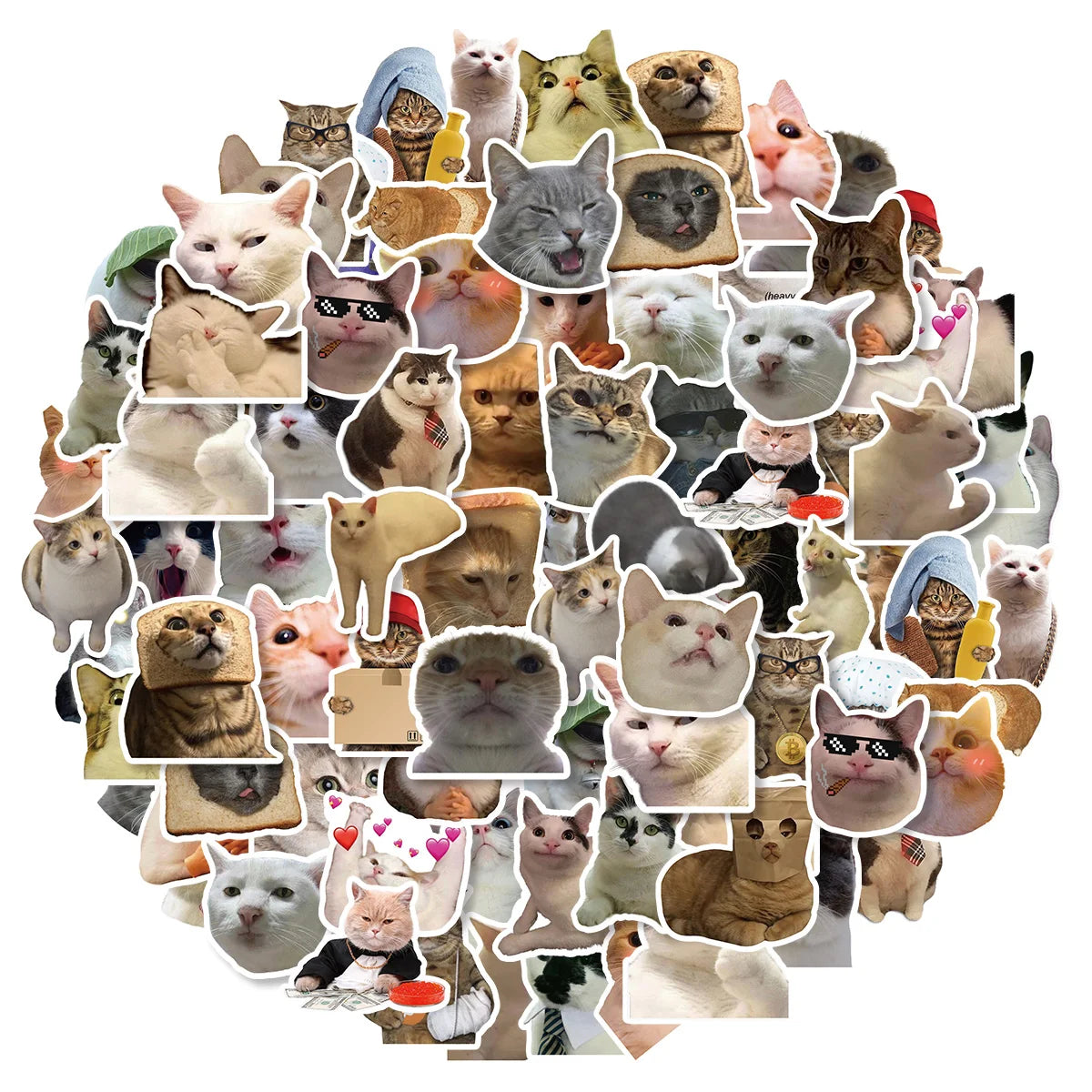 Meme Cat Stickers