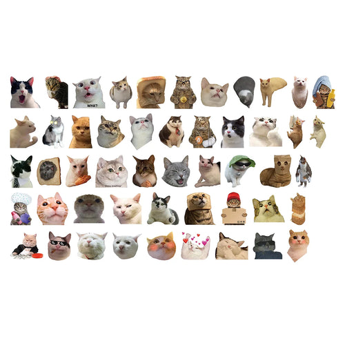 Meme Cat Stickers